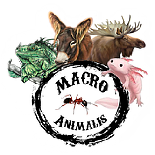 Logo Macro-Animalis